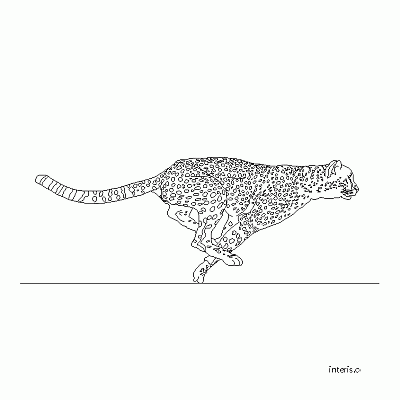 Image 514