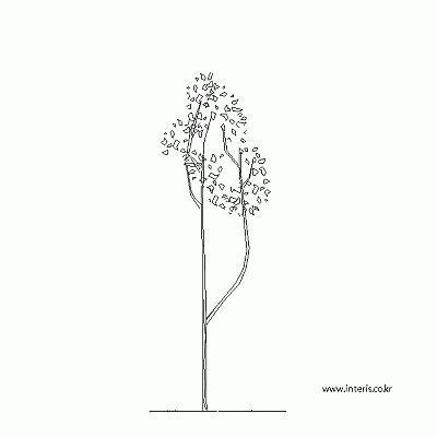 Image 4161