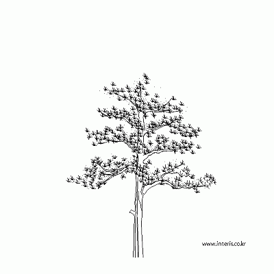 Image 4173