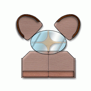 칼라링 가구 테이블/의자 평면 pc-ft-pca012