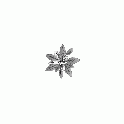 Image 12641