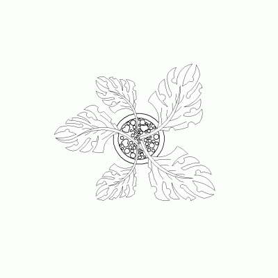 Image 12647