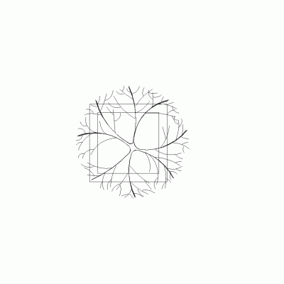 Image 12650