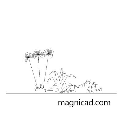 Image 14796