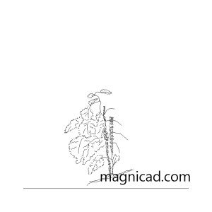 조경/식물/화초cad dwg t-fea113