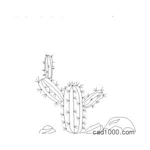 선인장 캐드 l-ted006.dwg