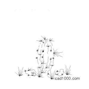 선인장 캐드 l-ted003.dwg
