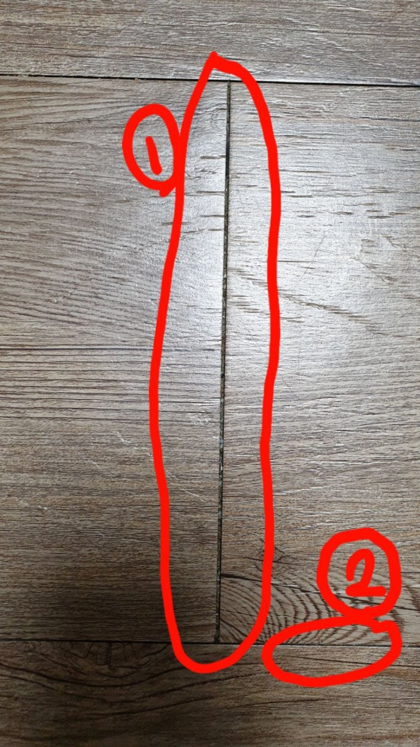 17273485813303.jpg