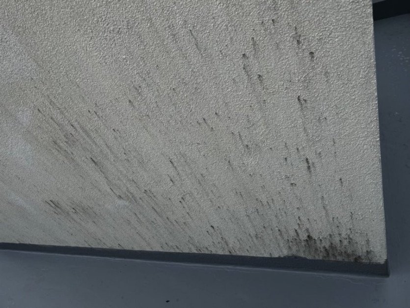 17304780961759.jpeg